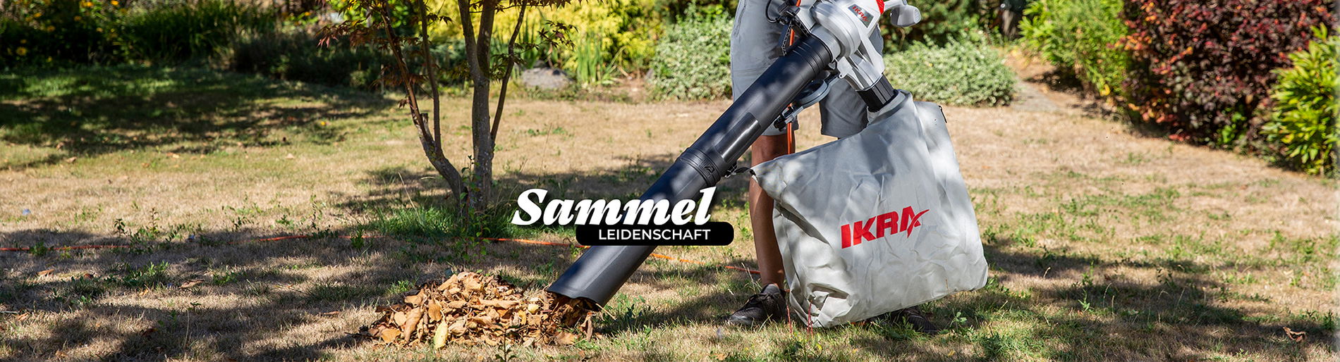 Banner Fangsack Laub 1920 x 520